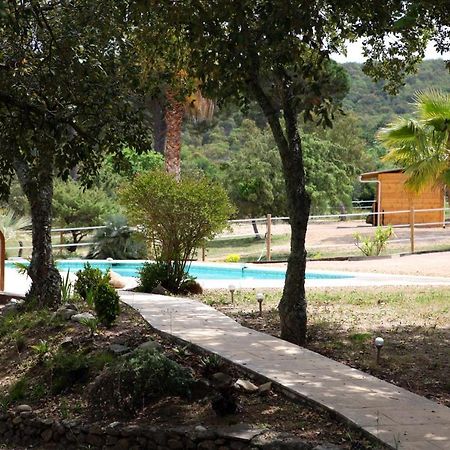 Villa Villekulla Dependance Avec Spa Privatif Le Plan-de-la-Tour Eksteriør bilde