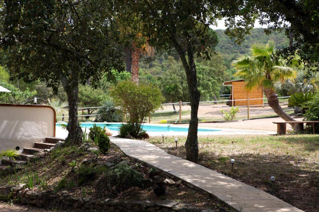 Villa Villekulla Dependance Avec Spa Privatif Le Plan-de-la-Tour Eksteriør bilde